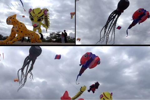 Ratusan layang-layang cantik nan unik hiasi langit Sanur