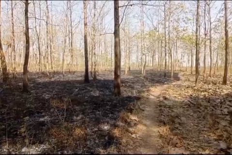Ini cara BPBD Kab Madiun antisipasi kekeringan dan karhutla
