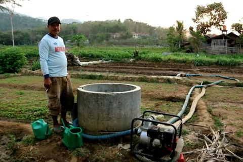 Kemarau, ini imbauan untuk petani di Magelang