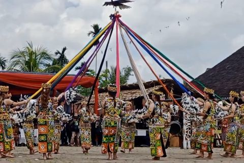 Kemeriahan pesta panen suku Dayak Kenyah di Kaltim