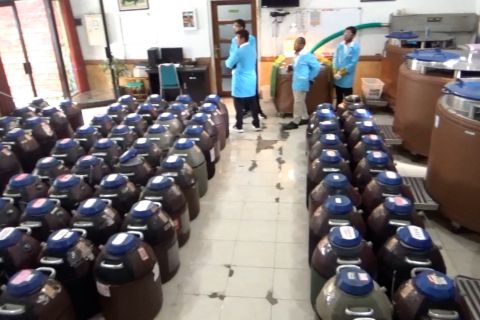 Komisi IV DPR bakal revisi aturan yang mempersulit suplai bibit sapi