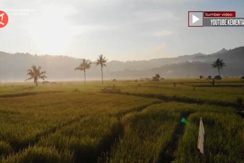Mentan dorong Jabar siapkan strategi hadapi El Nino