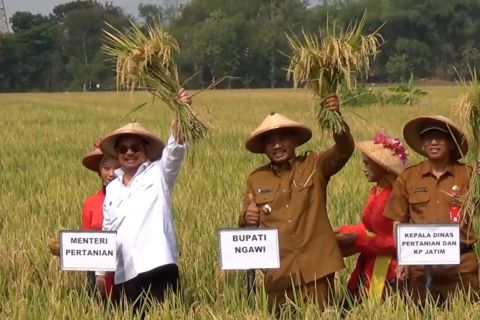 Menteri Pertanian persiapkan Ngawi hadapi dampak El Nino