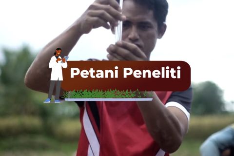 Petani peneliti tingkatkan kemandirian pertanian bagian 1