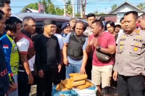 Polres Pariaman gagalkan pengiriman 77 paket ganja antar provinsi