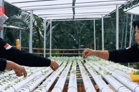 Badan Otorita IKN telah latih 700 warga lokal di berbagai bidang