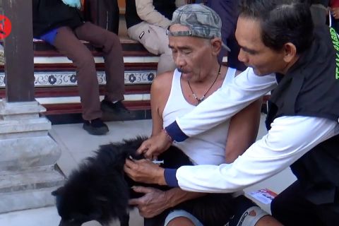 Petugas sambangi rumah warga gencarkan vaksinasi rabies