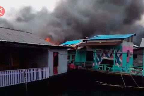 Sebelas rumah di Bintan ludes terbakar si jago merah