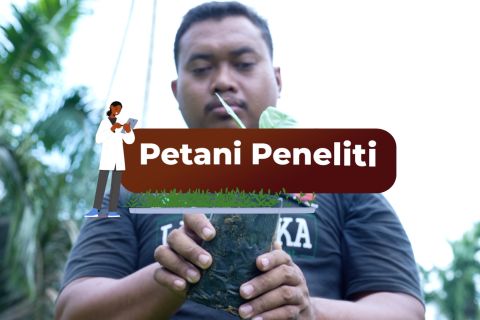 Petani peneliti tingkatkan kemandirian pertanian bagian 3