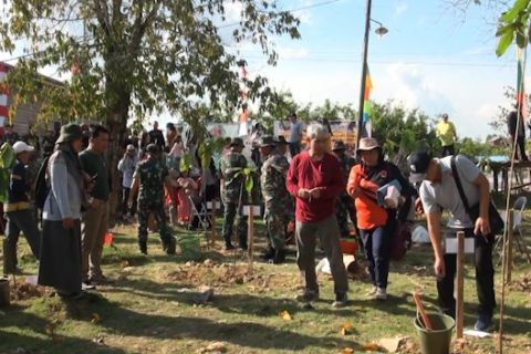 Cegah ablasi Sungai Kahayan, 935 bibit pohon ditanam