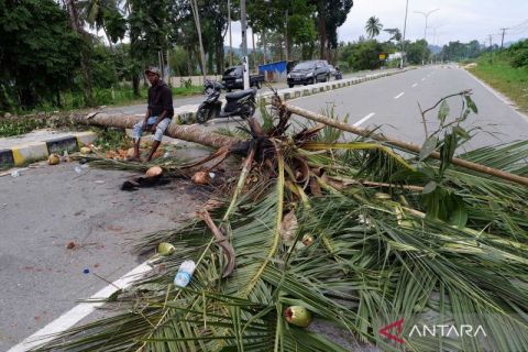 Aksi tutup jalan tuntut ganti rugi tanah ulayat di Papua
