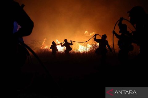 Kebakaran hutan di Yunani meluas akibat tiupan angin