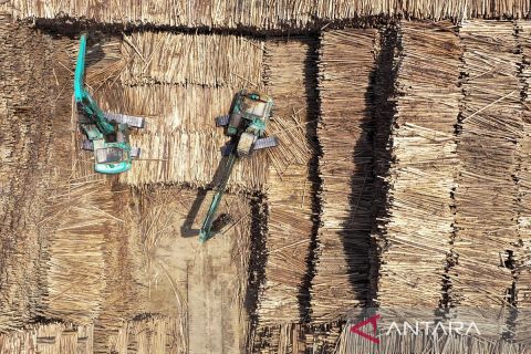 Ekspor produk kertas meningkat