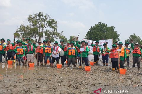 PTKPI berjuang tanam mangrove kado HUT RI