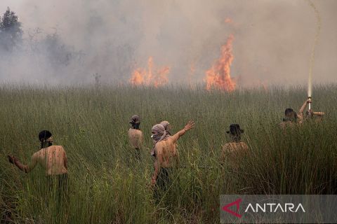 Petugas gabungan kendalikan kebakaran lahan gambut Palangka Raya
