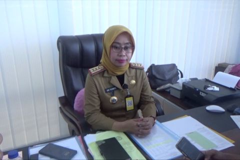 Absen Upacara HUT RI, 36 camat dan lurah di Kendari diberi sanksi