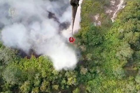 Sebagian karhutla di Jambi berada di areal perkebunan sawit