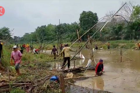 Melestarikan tradisi nangkul ikan di Desa Wisata Dewi Rebung