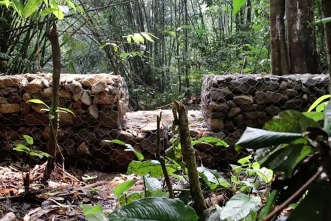 Mengukur manfaat pembangunan KTA bagi masyarakat kawasan Hutan Lindung