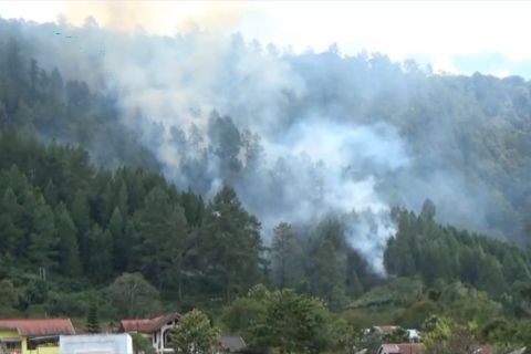 Korem 011/LW tindak tegas prajurit terlibat perusakan hutan
