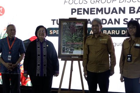 Inilah spesies flora dan fauna baru yang ditemukan di Kalimantan Barat