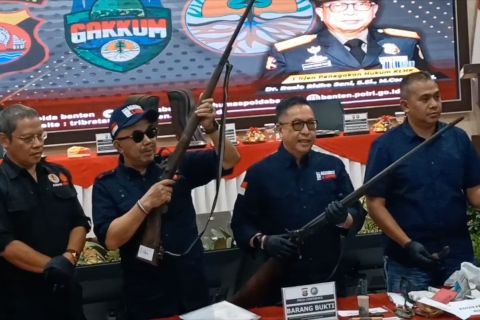 Satgas operasi TNUK amankan 294 pucuk senjata api ilegal dari warga