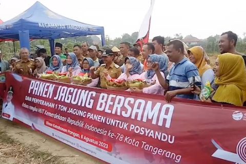 DKP Kota Tangerang bantu petani manfaatkan lahan tidur