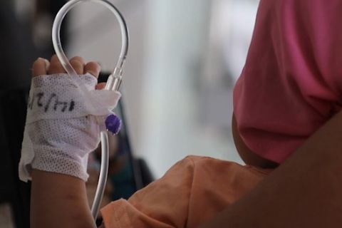 Kasus DBD Kalbar meningkat, pemerintah terapkan status siaga