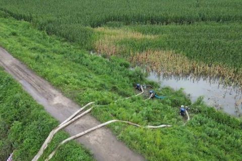 China pulihkan produksi pertanian di daerah terdampak banjir