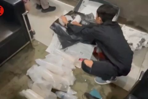 Bea Cukai Soetta gagalkan penyelundupan benih lobster ke Singapura