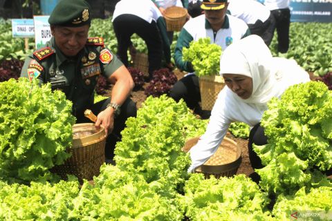 Gubernur Jatim hadiri puncak peringatan hari lingkungan hidup