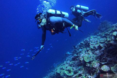 Target kunjungan wisata Sulawesi Tenggara