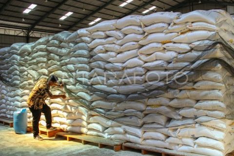 Stok beras Bulog Makassar mencukupi
