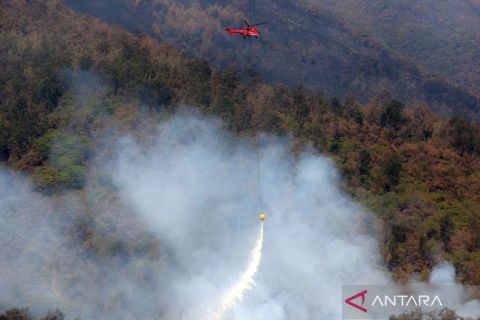 Upaya pemadaman karhutla di Gunung Arjuno