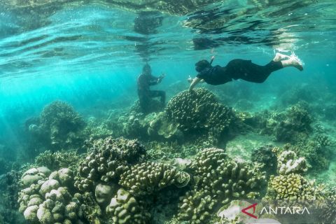 Ramai wisatawan ke kepulauan Seribu dampak promosi medsos