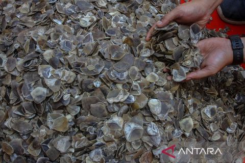 Polda Riau gagalkan perdagangan sisik Trenggiling