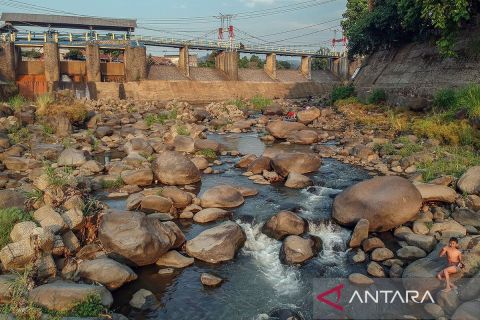 Dampak kemarau air Sungai Ciliwung menyusut