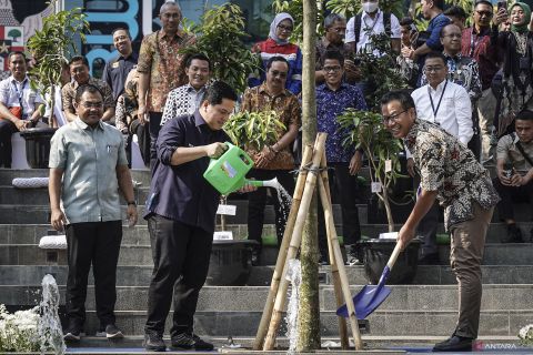Gotong Royong Boyong Pohon BUMN