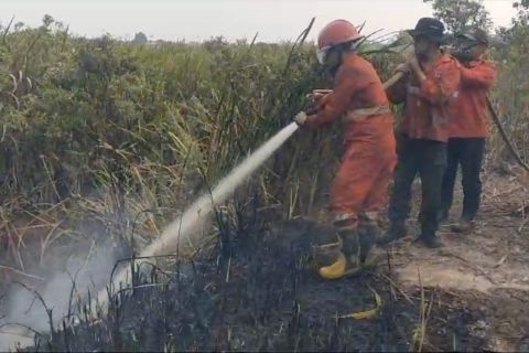 BPBD Sumsel: Peran masyarakat faktor penting cegah karhutla