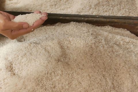 Bulog Kedu pastikan ketersediaan beras hingga panen raya