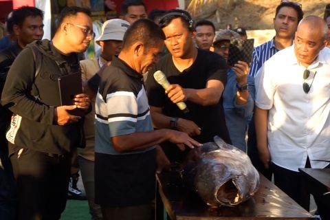 Festival Kuliner Ikan Tuna sarana tingkatkan perikanan dan wisata