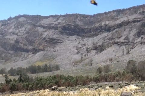 Kerugian akibat kebakaran di Gunung Bromo capai Rp5,4 miliar