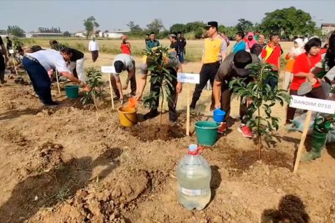 Pekalongan galakkan tanam pohon untuk perbanyak ruang terbuka hijau