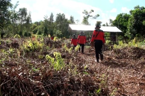 Petani Kelampangan pantang mengolah gambut menggunakan api