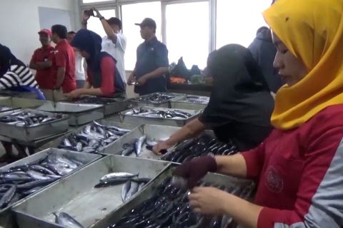 Petani & nelayan diajak manfaatkan KUR untuk capai target serapan