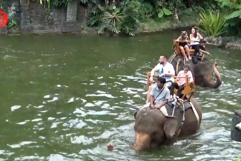 Berwisata di kebun binatang Bali yang sudah tanpa jeruji