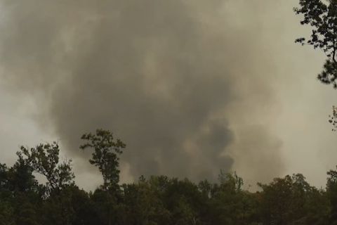 Karhutla yang menyebar cepat paksa evakuasi di Texas, AS