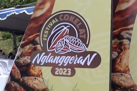 Festival Cokelat Nglanggeran, ajang untuk kenalkan cokelat lokal