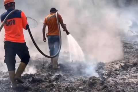 Lahan gambut jadi tantangan pemadaman Karhutla di Kutai