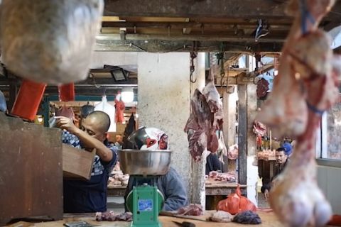 DP3 sebut perilaku konsumsi komoditas daging di Pontianak bergeser